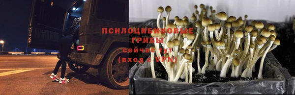 альфа пвп VHQ Дмитриев