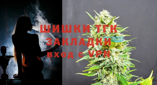 индика Туринск