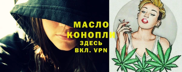 твердый Дмитров