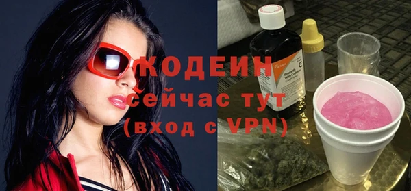 твердый Дмитров