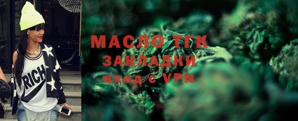 твердый Дмитров